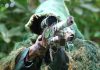 Sniper siaga di jalur mudik sniper