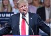DONALD J TRUMP by Michael Woodford