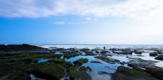 wisata