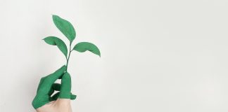 sustainable development goals