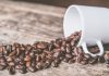 VIRAL DI TIKTOK! INI 3 MANFAAT KERAMAS PAKAI KOPI keramas